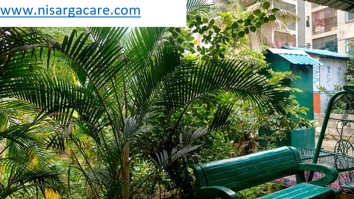 Nisarga Care gallery photograph