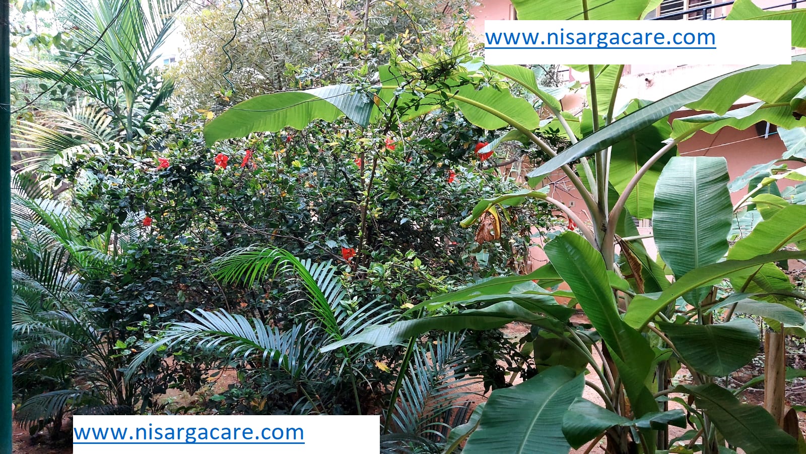 Nisarga Care gallery photograph