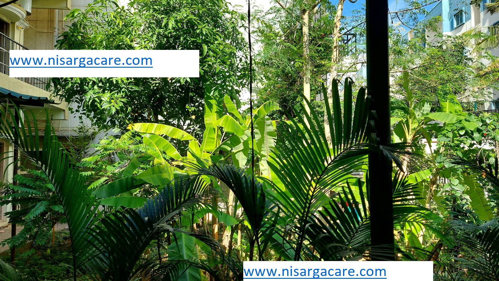 Nisarga Care gallery photograph