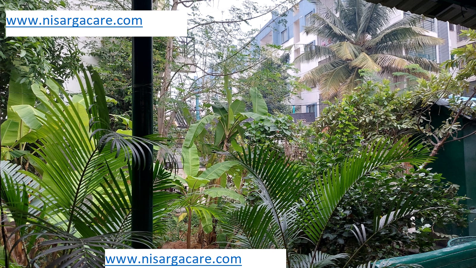 Nisarga Care gallery photograph