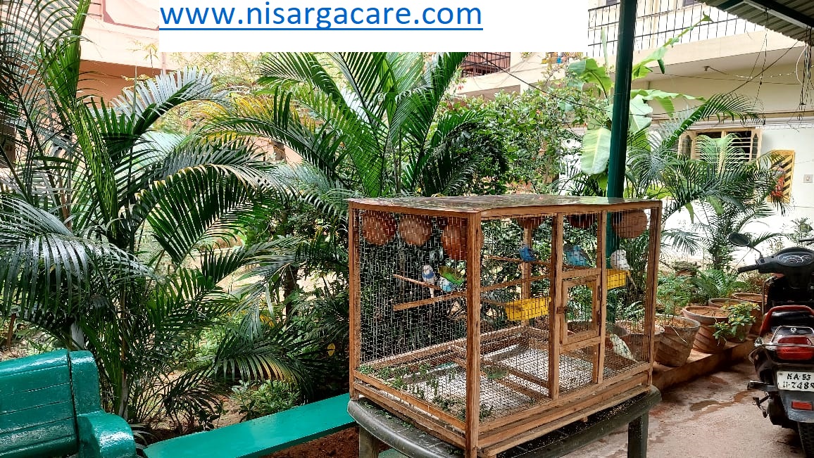 Nisarga Care gallery photograph