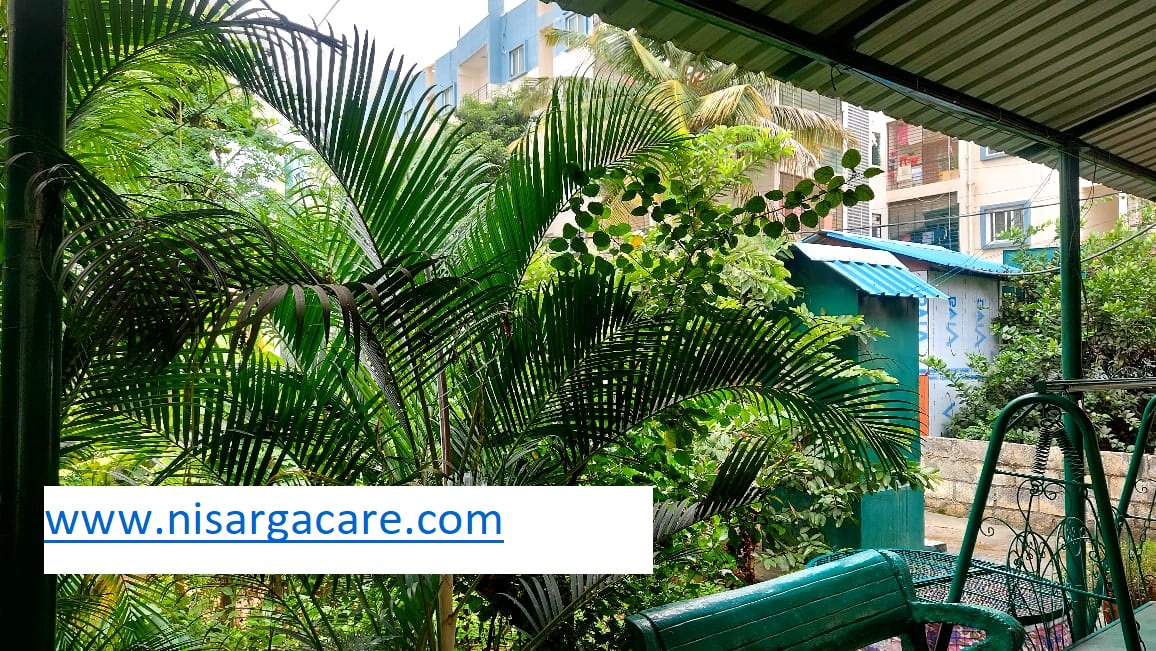 Rehabilitation centre in Horamavu , Banaswadi , Kalyan Nagar, Kammanahalli, Kasturi Nagar, near to Bangalore Karnataka India |