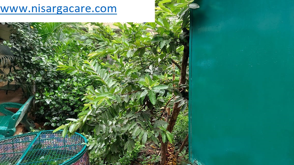 Nisarga Care gallery photograph